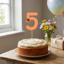 Artikel Zahlenstecker 5 aus Holz 27,5 cm bunt für Blumendeko und Geburtstag
