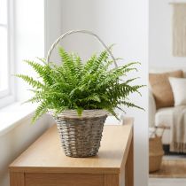 Artikel Weidenkorb mit Henkel Grau Weiß Ø25 H45cm – Pflanz- und Dekorationskorb