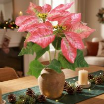 Artikel Weihnachtsstern Künstlich Rot Rosa L35cm 6 Stiele 2 Bunde