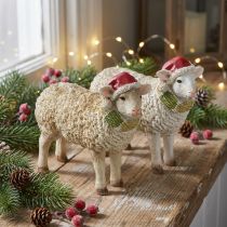 Artikel Weihnachtsfiguren 2er-Set Schaf mit Mütze und Schal Polyresin 16cm Weiß und Braun