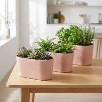 Artikel Pflanzschale oval Kunststoff Rosabraun 20×10×11 cm 3er Set