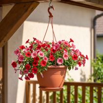 Artikel Blumenampel Kunststoff Ø30cm Terrakotta für Balkon und Garten