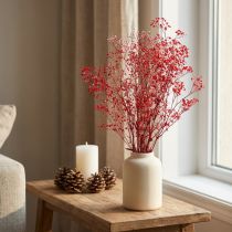 Artikel Schleierkraut Gypsophila getrocknet Rot 55g 50cm