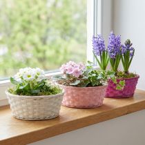 Artikel Runder Spankorb aus Holz Ø25cm Lila/Weiß/Rosa mit Folie 6 Stück