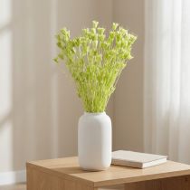 Artikel Trockenblumen-Bund Nigella Grün 70cm 50g Raumdekoration