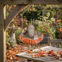 Artikel Herbstdeko Hängeschale Pilz mit 2 Vögeln aus Polyresin Ø20cm H15cm Orange-Braun
