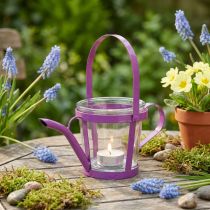 Artikel Windlicht Deko-Gießkanne aus Metall mit Glas Pink Ø14cm H13cm