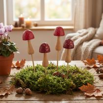 Artikel Blumenstecker Pilz Holzdeko Rot Ø2,5cm 8 Stück