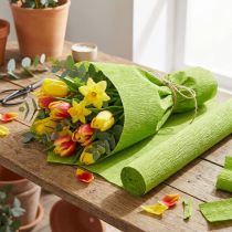 Artikel Floristen-Krepppapier Grasgrün 50cm x 250cm für Dekorationen und Bastelarbeiten
