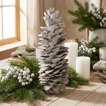 Artikel Zuckerkieferzapfen Holz weißgewaschen 20–30cm