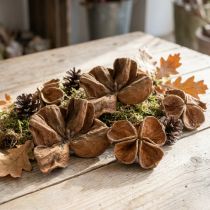 Artikel Getrockneter Landlotus für dekorative Arrangements 50 St
