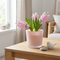 Artikel Blumentopf Glas Rosa Ø11,5cm H11cm