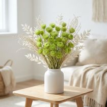 Artikel Trockenblumen Strohblumen Hellgrün Länge 40–44cm