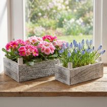 Artikel Pflanzkisten Holz Rechteckig mit Kunststoffauskleidung Cremeweiß 32x17cm und 25x13cm 2er-Set