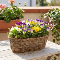 Artikel Pflanzkorb oval Rebenzweige Natur L30cm mit Folie