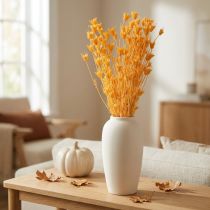 Artikel Nigella Trockenblumen Orange 70cm 50g Wohnraumdekoration