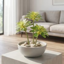 Artikel Sukkulente Kunstpflanze Aeonium Grün 30 cm, 4 Stück
