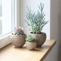 Artikel Dekoschale Keramik Spiraldesign Beige Braun Ø9cm 4 Stück