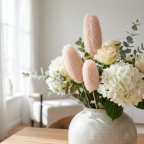 Artikel Luffa groß am Stiel gebleicht 6–8 cm Ø, 25 Stück