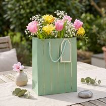 Artikel Geschenktasche Karton 18×10×23cm Hellgrün mit Goldstreifen und Anhänger