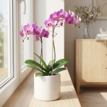 Artikel Orchideenstab Rankhilfe Kunststoff Pink 38cm