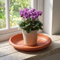 Artikel Untersetzer Linda Ø18 cm aus Kunststoff in Terrakotta