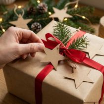 Artikel Geschenkanhänger Stern Papier Braun Ø5,5cm 100 Stück