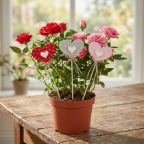 Artikel Holzherzen Blumenstecker gepunktet 6×5cm rot grau rosa 18 Stk