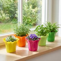 Artikel Blumentopf-Übertopf aus Kunststoff, Ø10,5 cm, bunt sortiert, 10 Stück