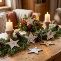 Artikel Kokossterne Weiß gewaschen 10 cm 20 Stück für Weihnachten