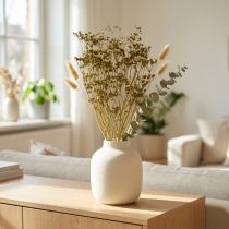 Artikel Trockenblumen Kümmelzweige Natur hellgrün 55cm Bund 5 Stück