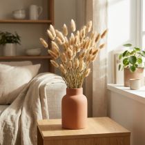 Artikel Lagurus ovatus Trockenblumen in Hellbraun 20–50cm 25g