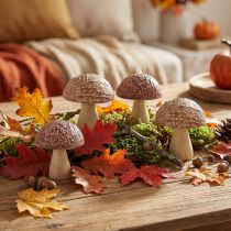 Artikel Holzdekoration Pilze 5×6cm Braun Natur 8 Stück Tischdeko Herbst
