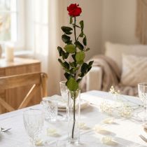 Artikel Konservierte Infinity Rose mit Blättern Rot 54cm