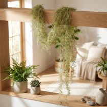 Artikel Künstlicher Tillandsia-Deko-Hänger Grün-Weiß 180cm