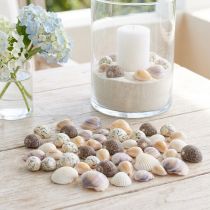 Artikel Muschel-Deko aus Naturmaterial, Mix mit Herzmuscheln und Schneckenhäusern, 1–3cm, 340g