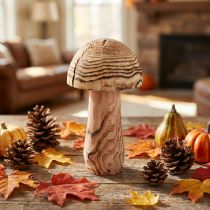 Artikel Deko-Pilz aus Paulownia-Holz Ø15 cm H28 cm für Innenbereich
