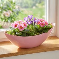 Artikel Pflanzschale Kunststoff Pink Oval 28×9×9cm 3 Stück