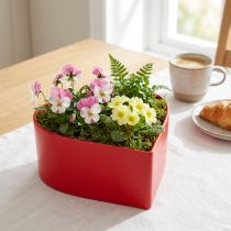Artikel Herzförmige Pflanzschale aus Kunststoff Rot 15×15×7 cm 3er-Set