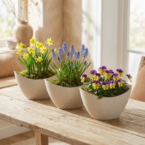 Artikel Pflanzschale Kunststoff Beige 20×9cm H12cm Schiffchenform 3er-Set