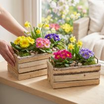 Artikel Pflanzkasten Holz Natur mit Rinde und Griffen 29cm/23cm 2er-Set
