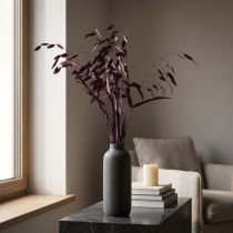Artikel Plattährengras Trockengras Chasmantium Lila 70cm 10 St