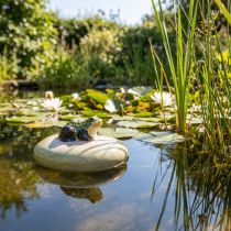 Artikel Keramik Dekofigur Frosch auf Schwimmstein 13 cm grün