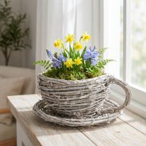 Artikel Teetasse aus geflochtener Weide 13cm Weiß-Grau Dekoration