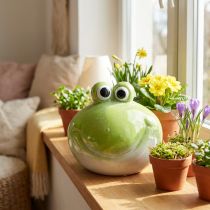 Artikel Keramik-Frosch grün 18 cm für Wohnzimmer- und Tischdekoration