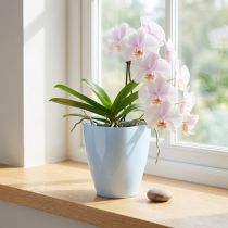 Artikel Orchideen-Übertopf Kunststoff Weiß Ø12,5cm