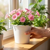 Artikel Blumentopf Kunststoff Weiß Ø19cm H16cm Innenbereich