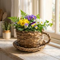 Artikel Pflanztasse aus Stroh mit Unterteller 17cm x 13cm für Dekoration und Kräuter
