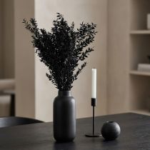 Artikel Ruscus Zweige getrocknet Schwarz 65–75 cm 200g 2. Wahl