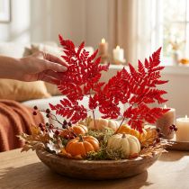 Artikel Farnzweige konserviert gefärbt rot 42cm 10 Stück für Herbstdeko